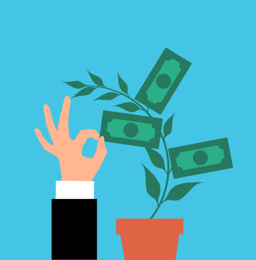 money, nature, plant