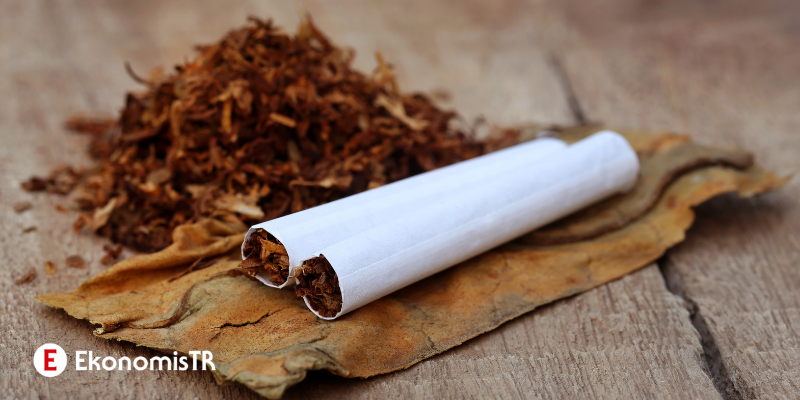Tütüncü Dükkânı Açmanın Maliyeti Ne Kadar? (Detaylı Bilgi)