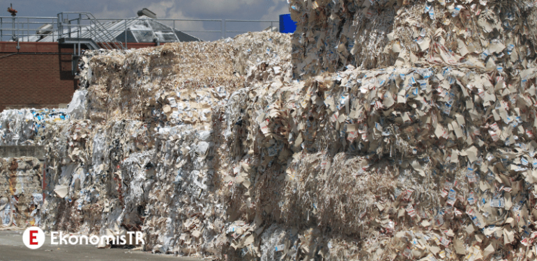 Kağıt Toplayanlar Ne Kadar Kazanıyor? 2024